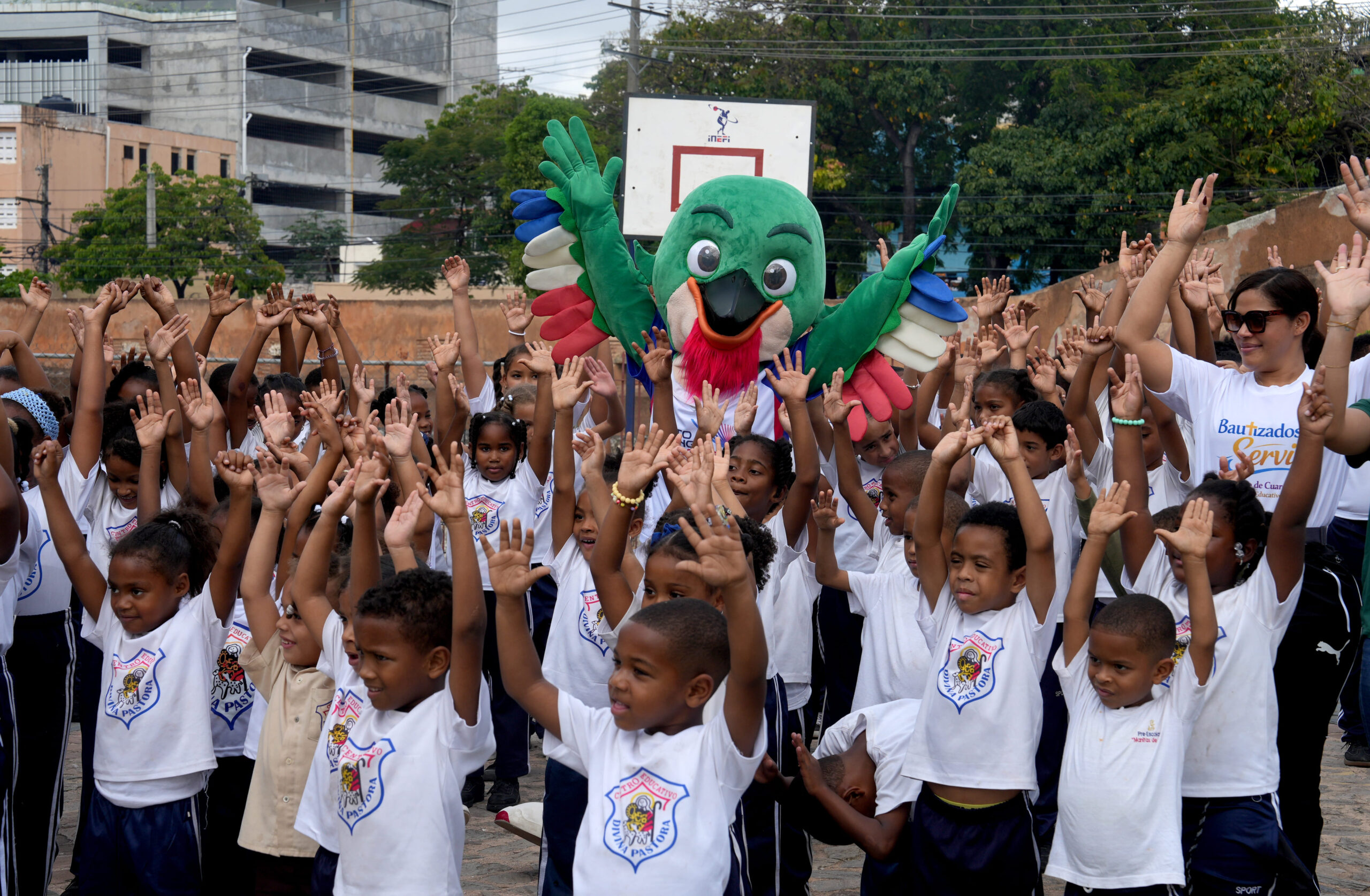 Colí en las escuelas